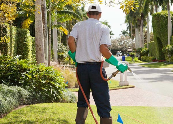 About Iona MN Pest Control